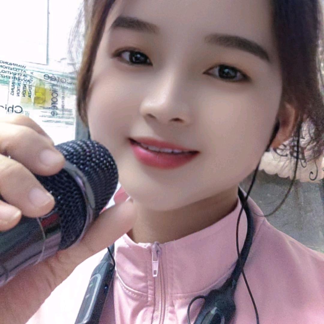小小凤