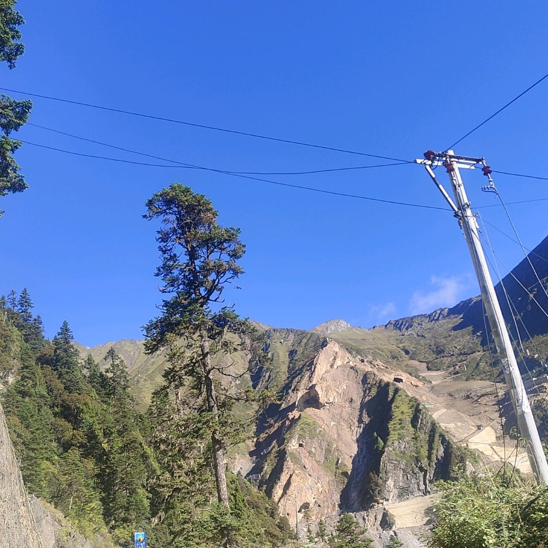 从此不走寻常路