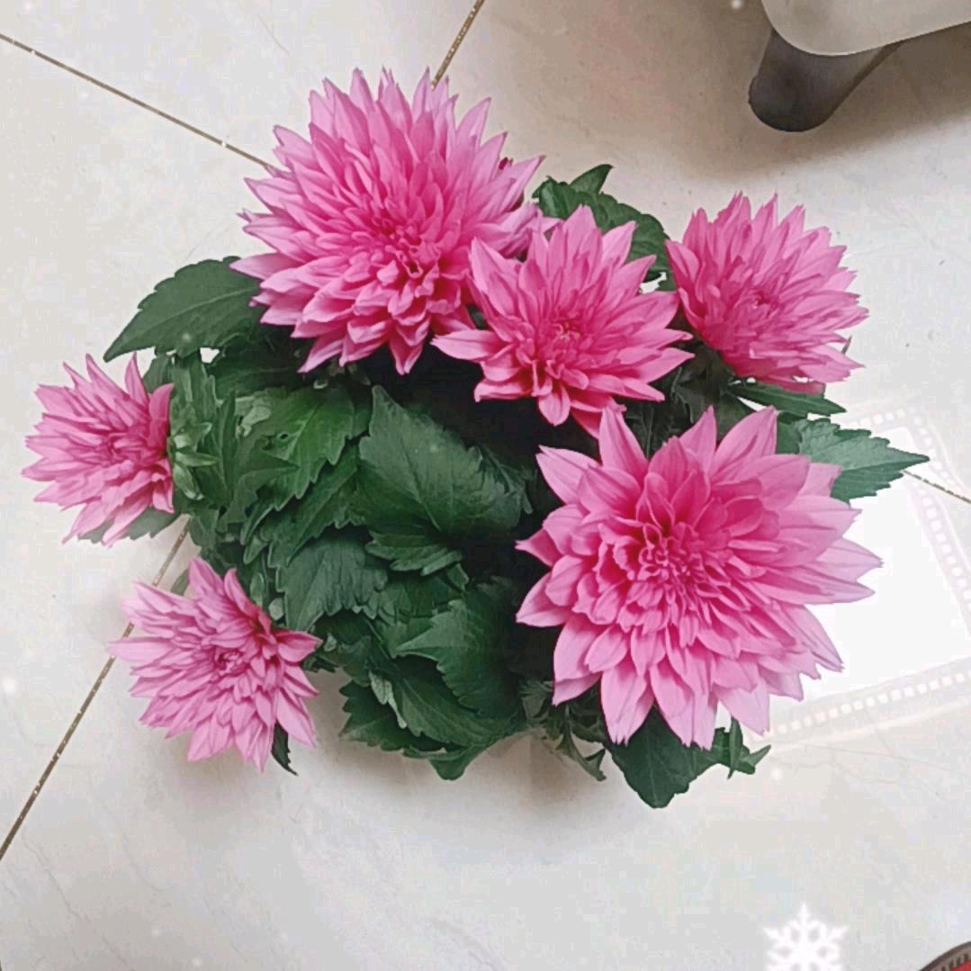幸福只因有你