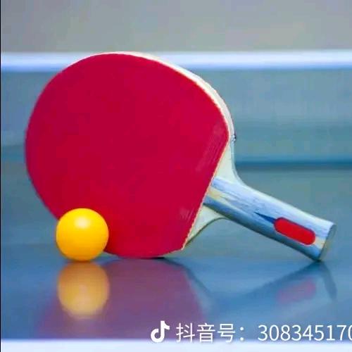 九川小刘体育