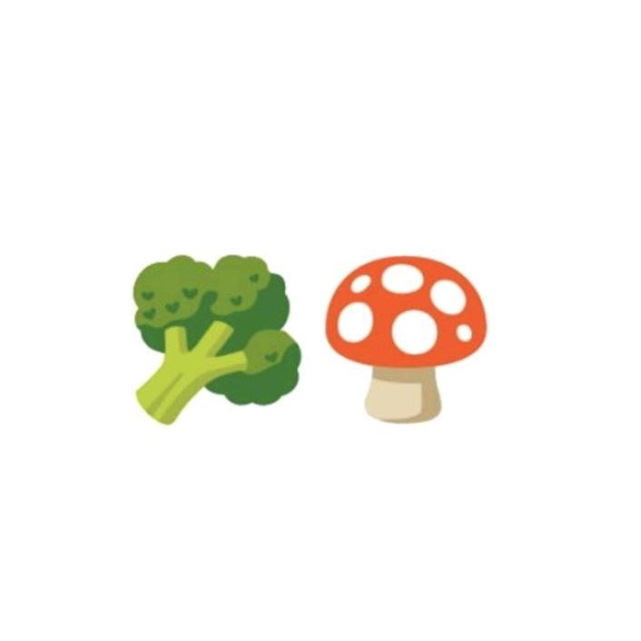 小苟吃花菜🥦🍄