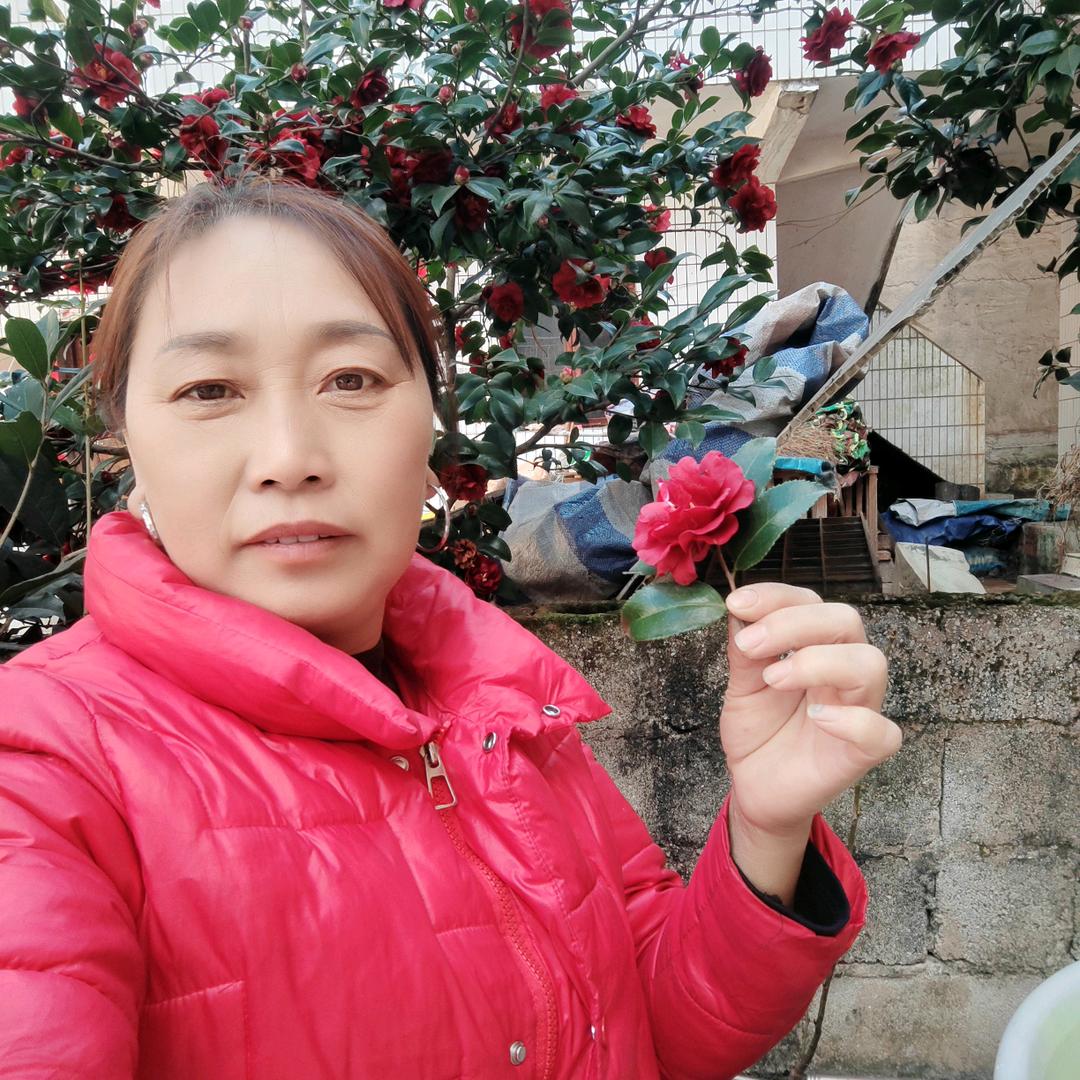 彭姐单身交友情（不定时开播）