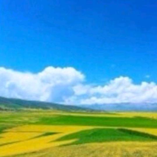 蓝天白云绿地🎸