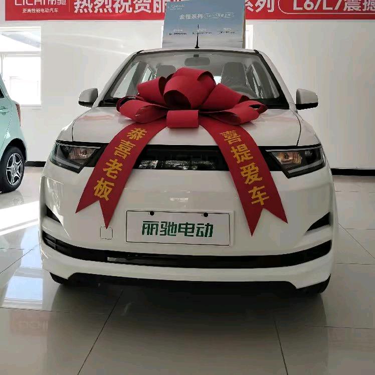 延安市丽驰电动汽车