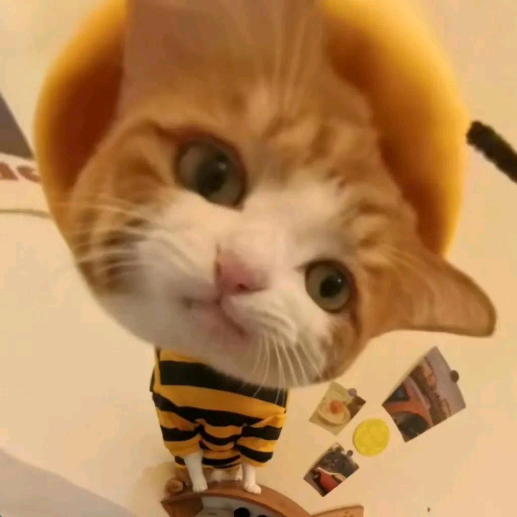 我们宿舍有条龙