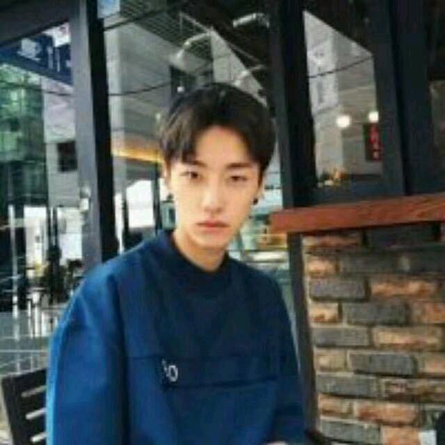 每天分享小游戏
