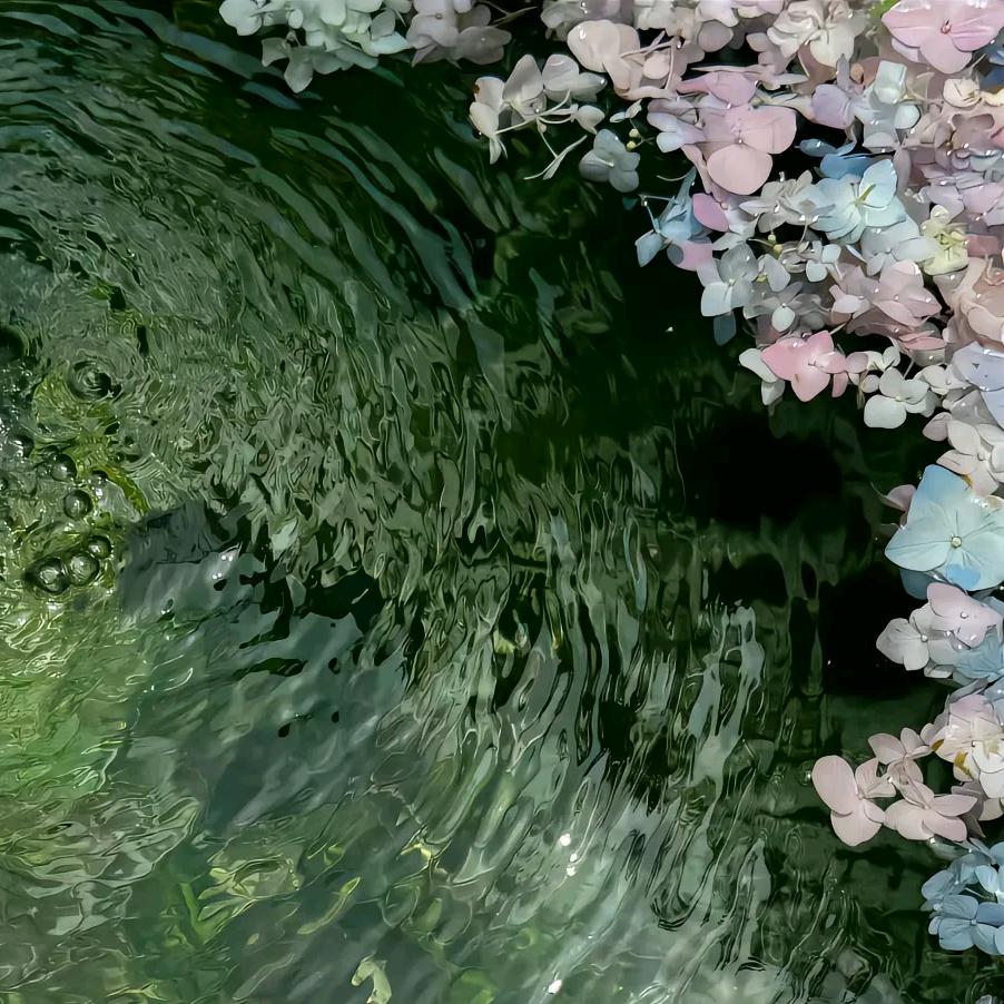 是春柠呀（永远爱蓝礼）