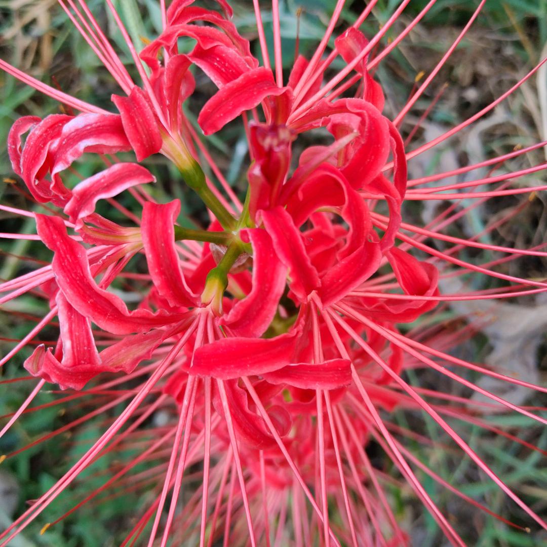 人字好写做人难