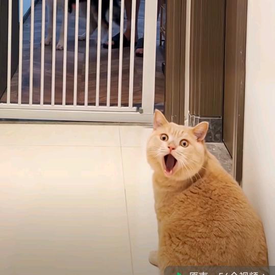 洗护哈哈分享