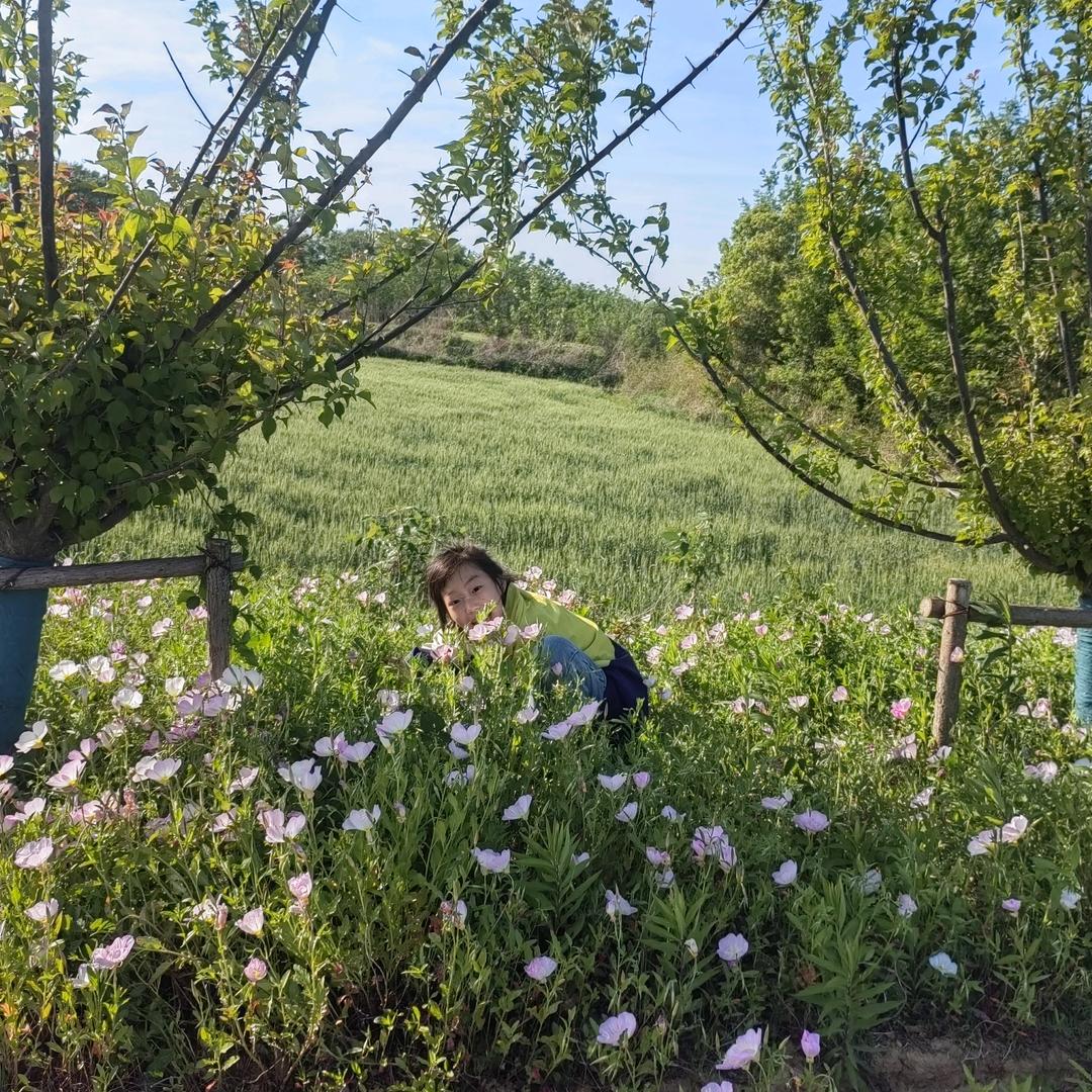 小小芷