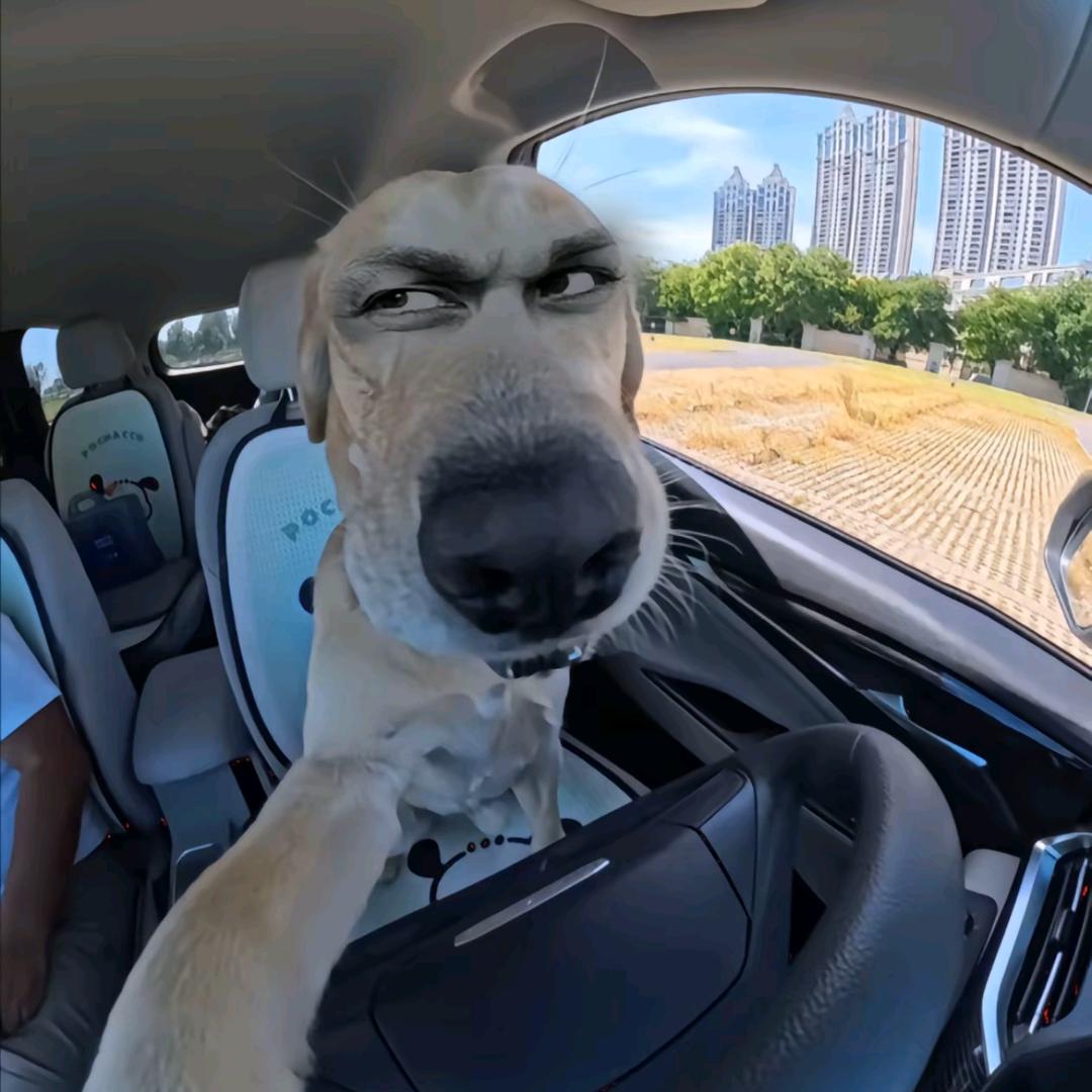 嘴脸