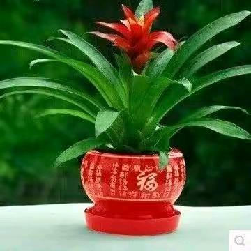 单亲妈妈