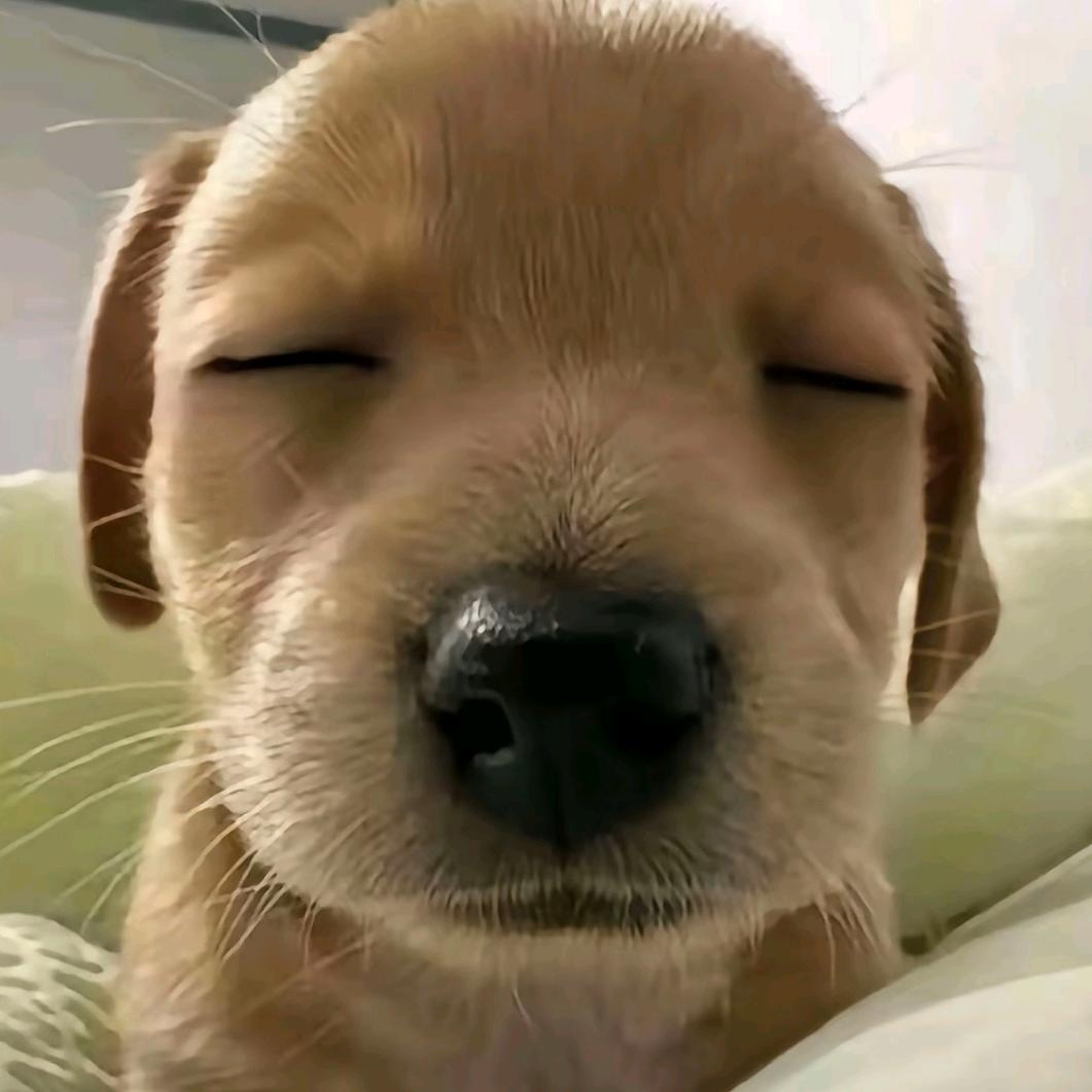 〇
