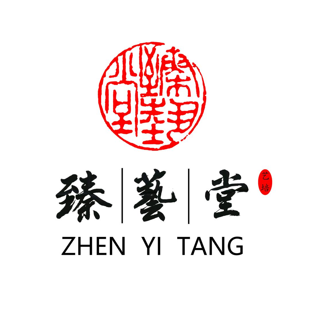 海口臻艺堂艺术培训学校