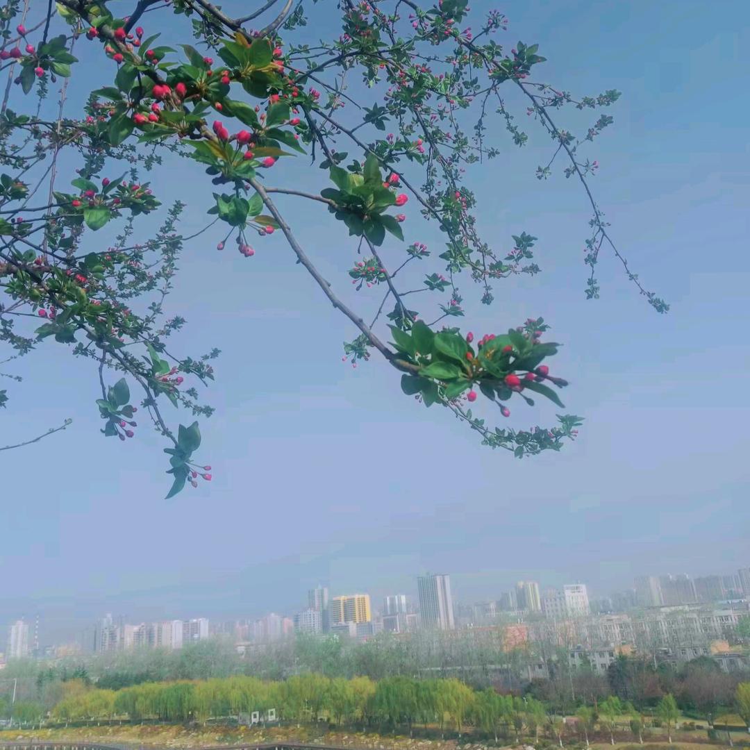 听ོ风ꦿ℘ zm゜