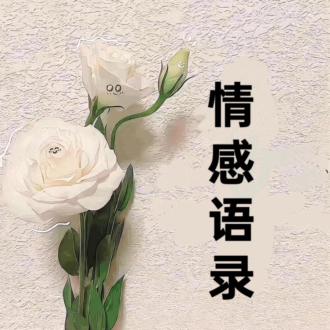 情感语录