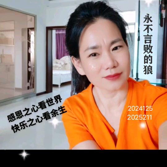 永不言败的狼
