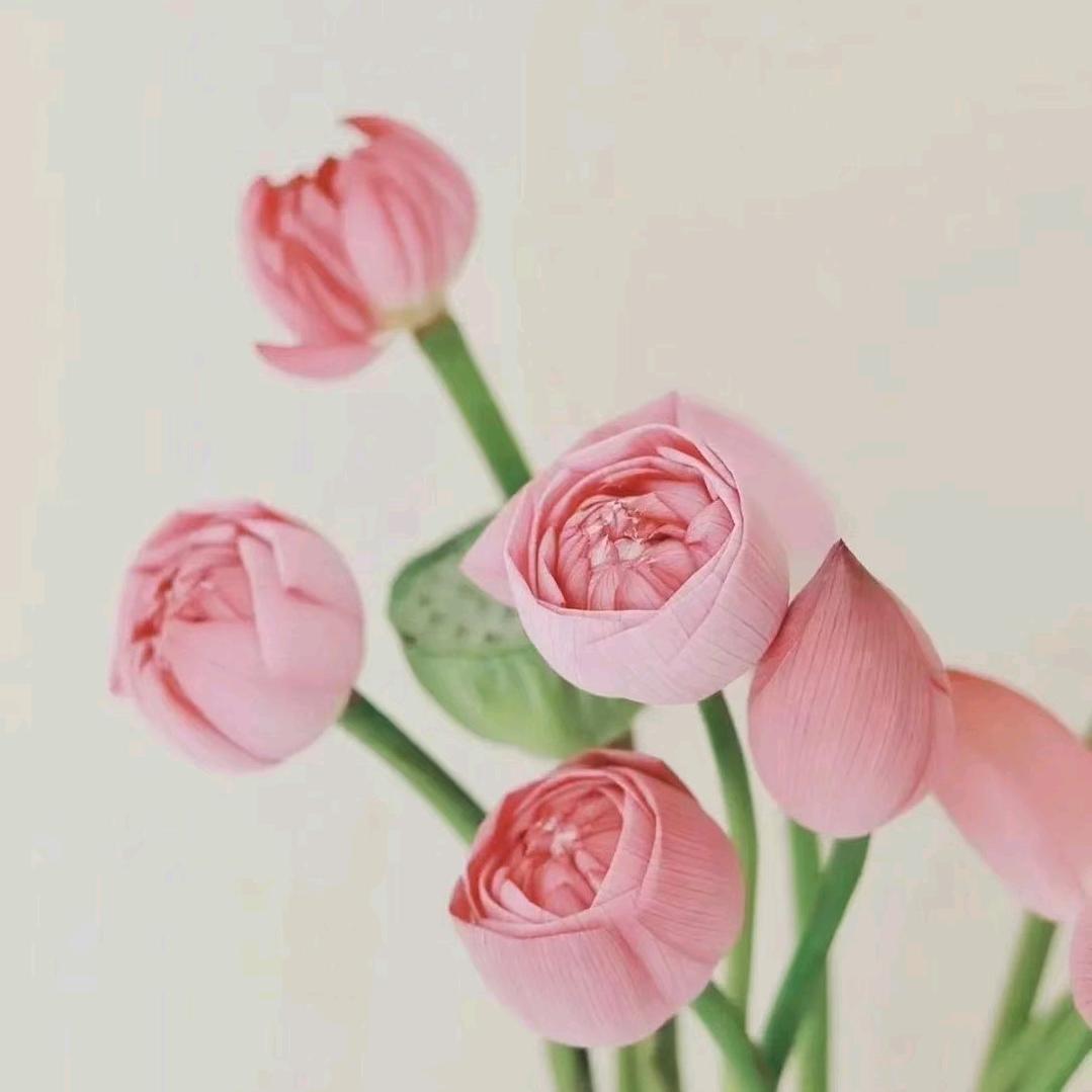 米奇✿