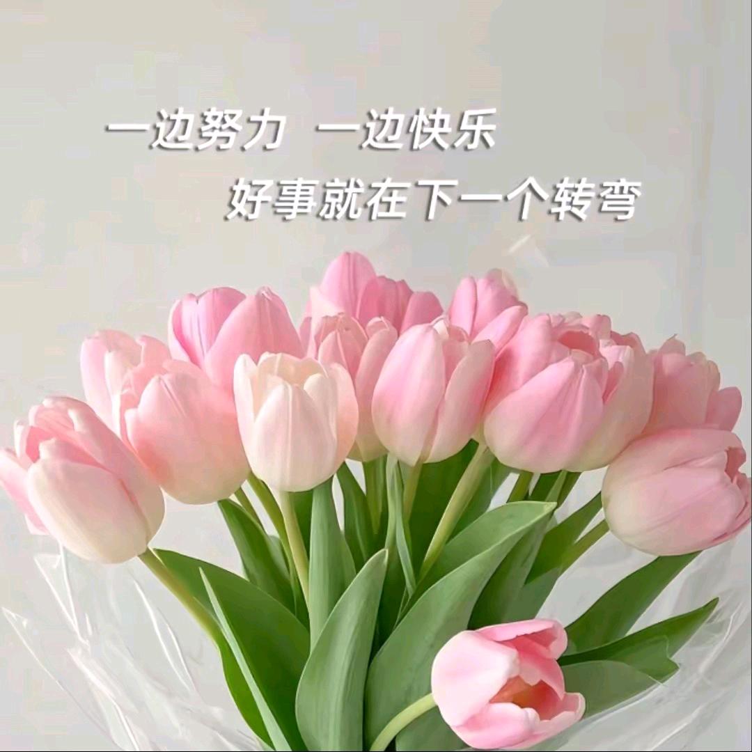 精英