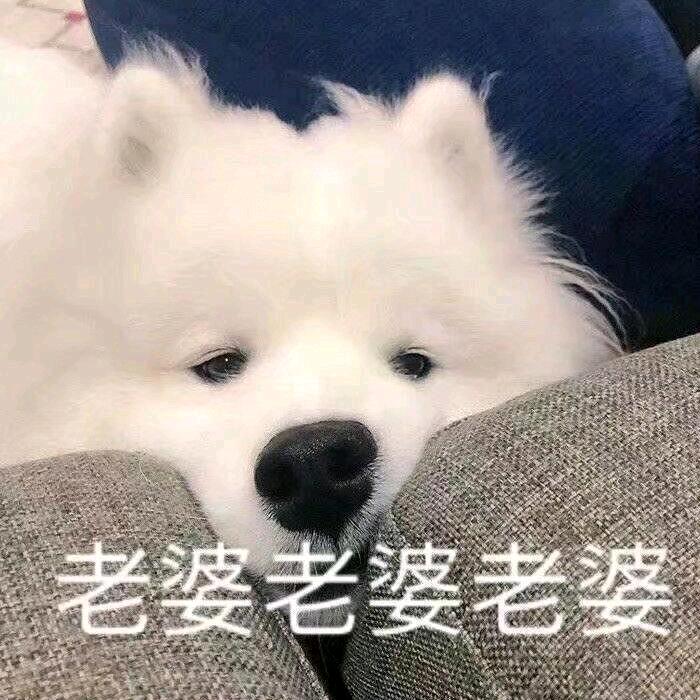 不睡了_