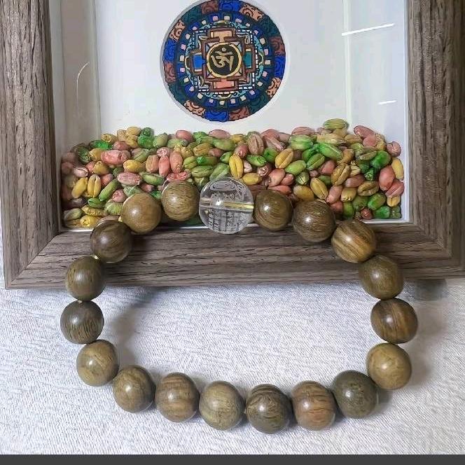 清晨的阳光⁸²⁹