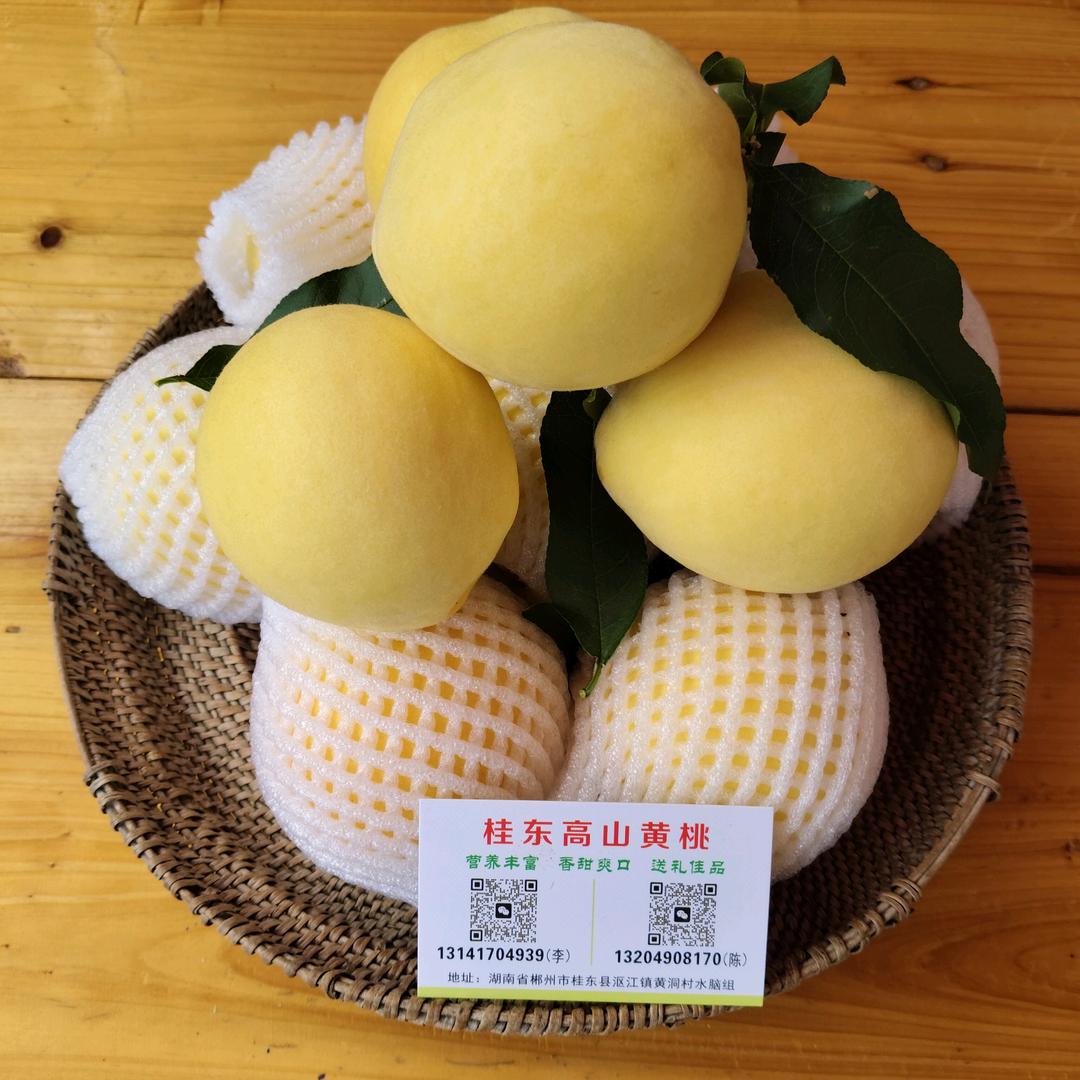彼岸流年