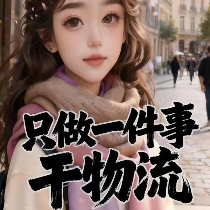 物流女侠--英姐