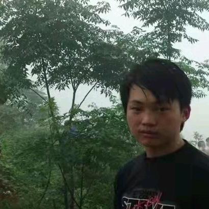 dong崽