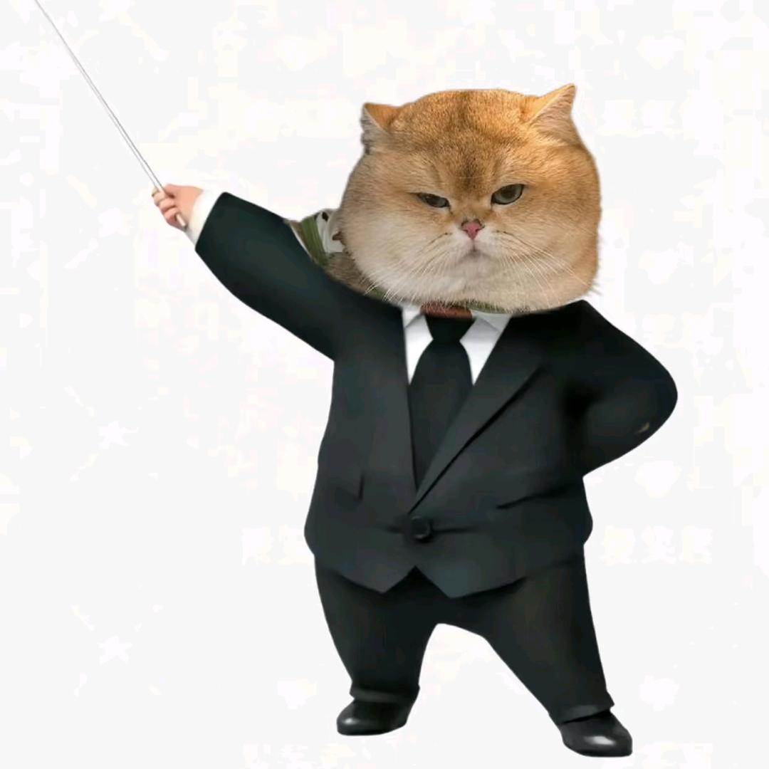 初羽校园高校赞助