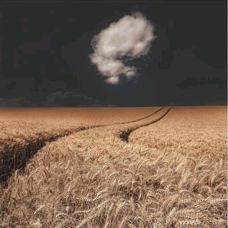 艺体生文化课章老师