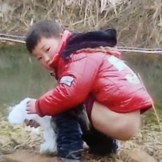 大草莓