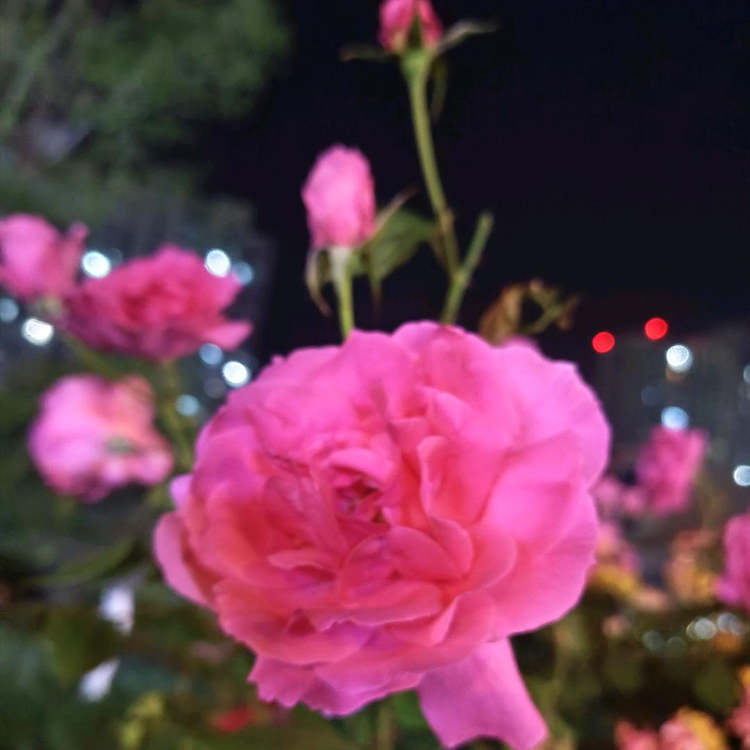 余生随心💞