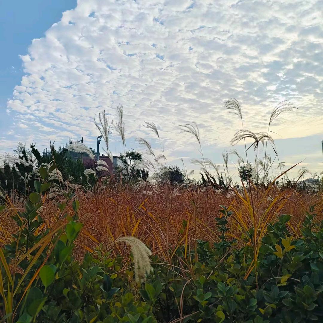 ͏͏ ͏͏风景