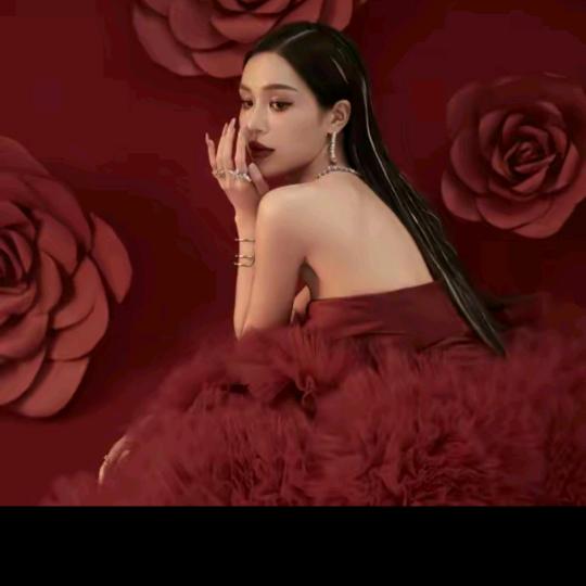 懒猫nono高奢衣橱