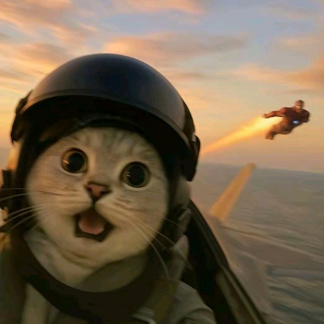 猪突猛进
