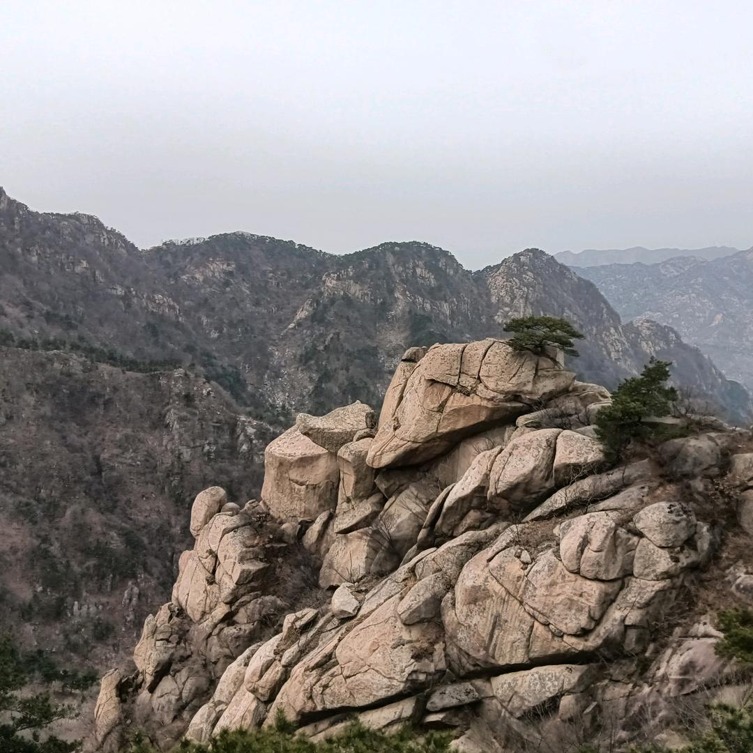 有抑郁潜质的Mr.