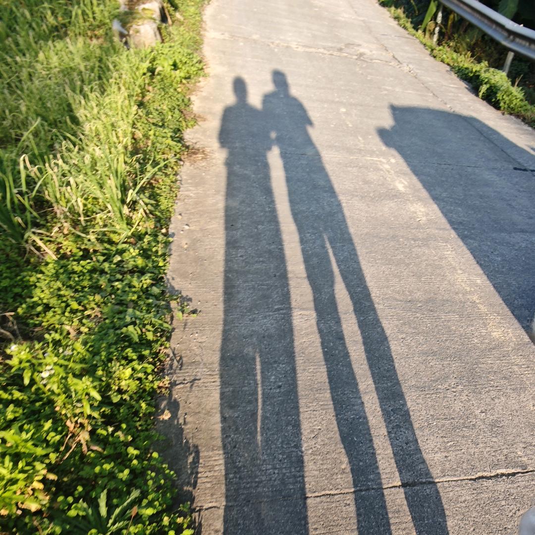 淼淼~