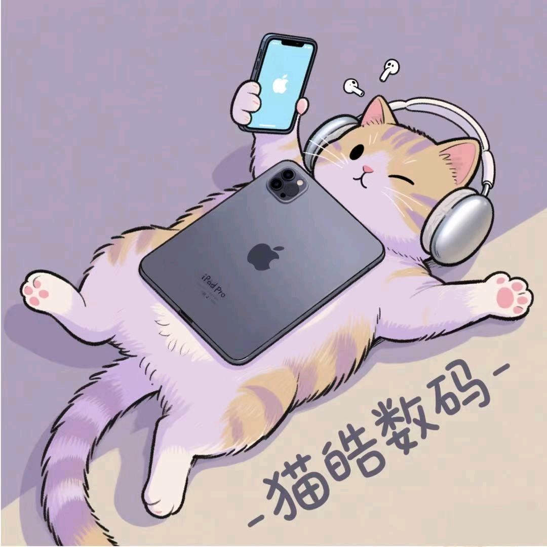 猫猫数码