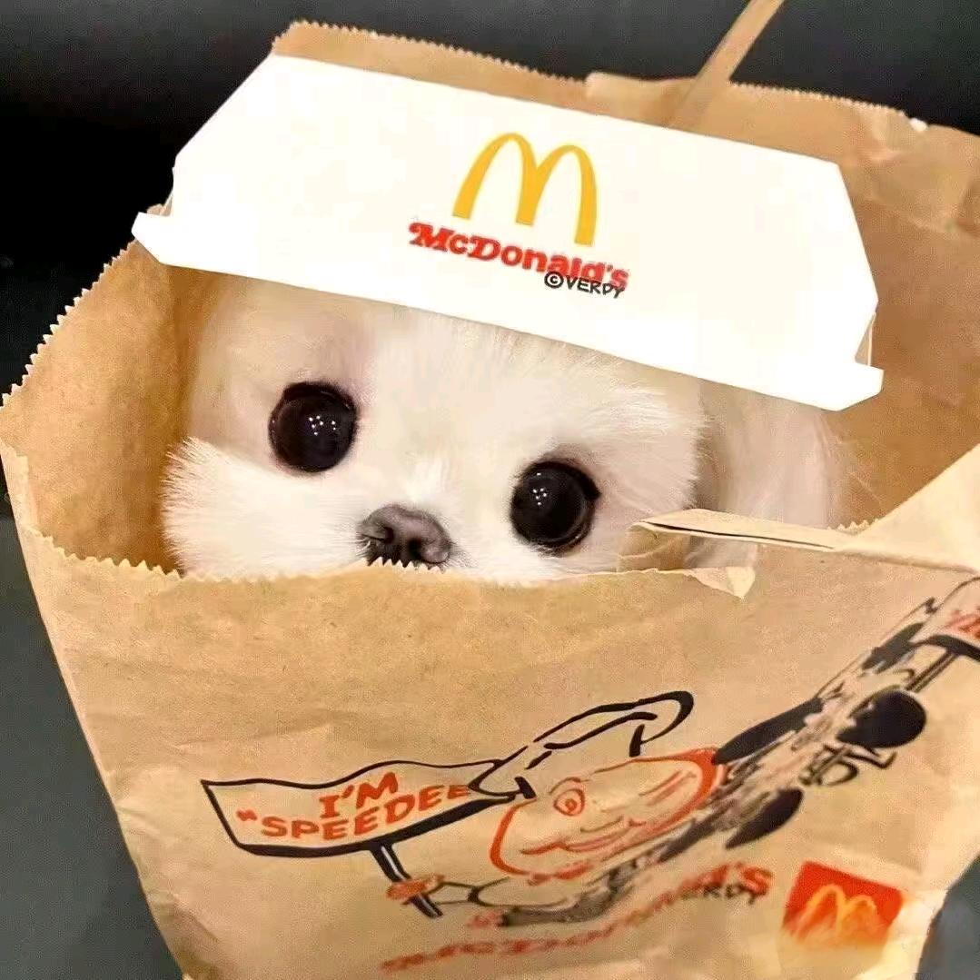 温小九