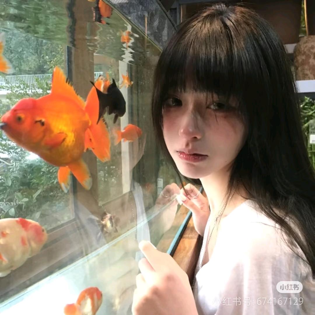 小蔡姬