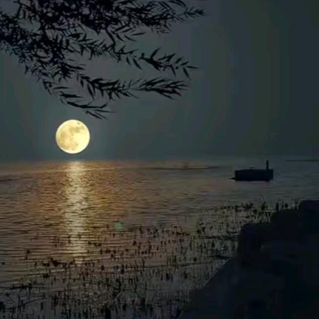 手抄
