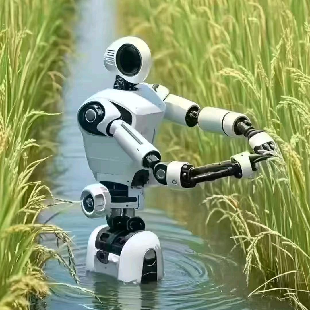 向阳光