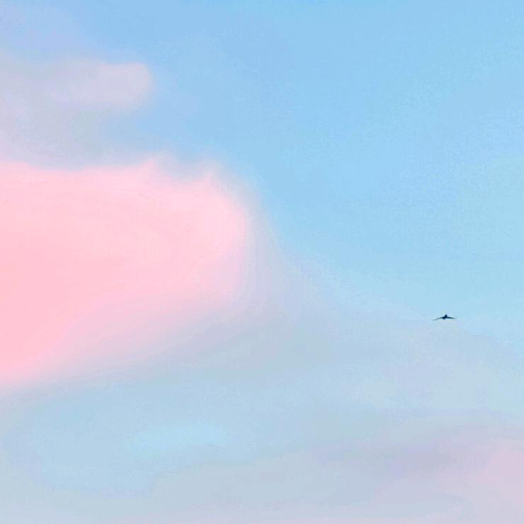 NN