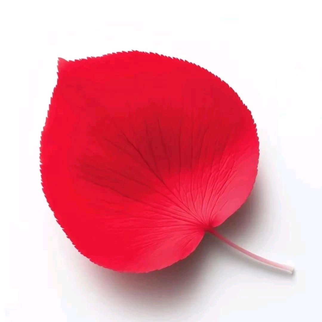 雨过天晴