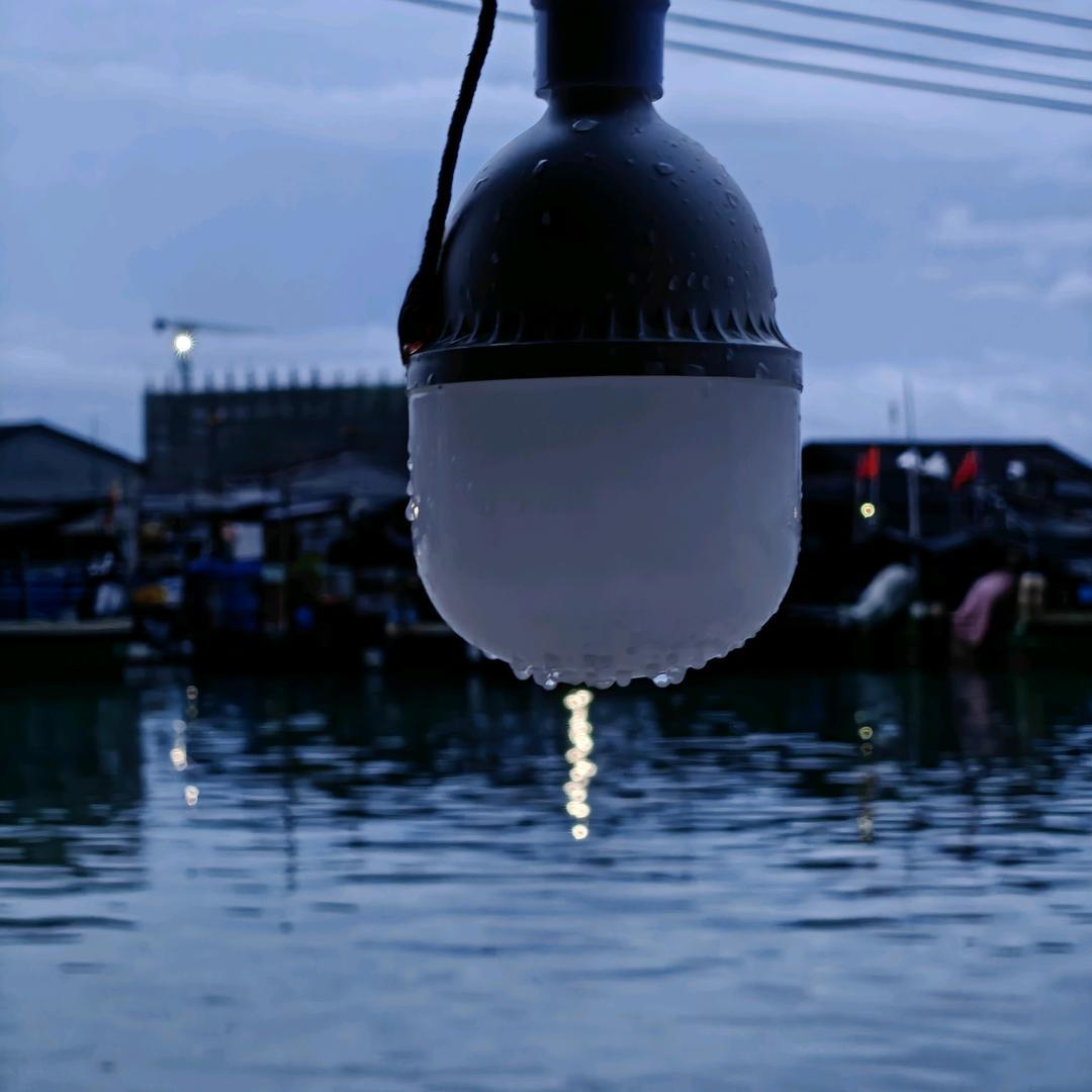 小光歌