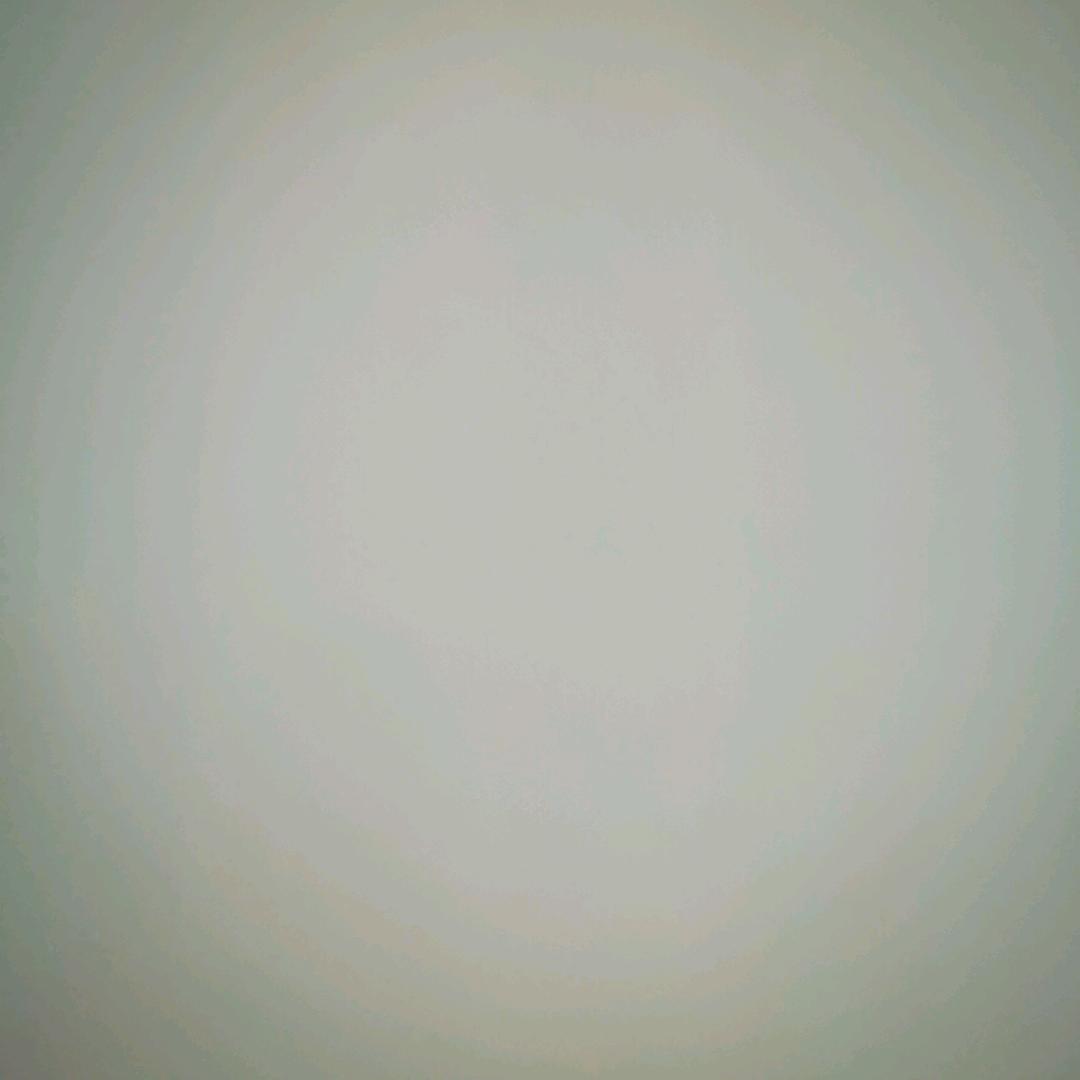 圈圈啊仇