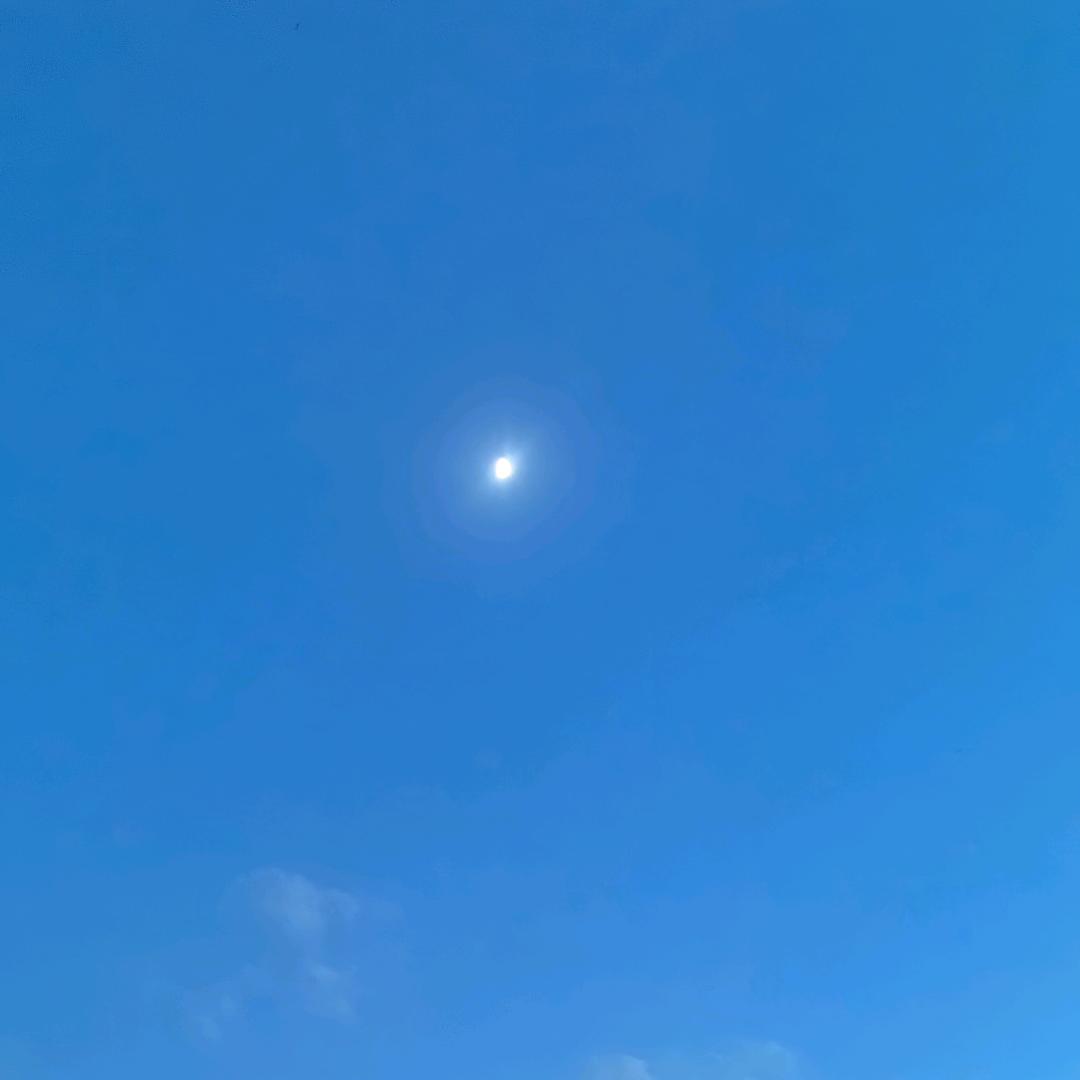 🦞心玲萝卜美🌹