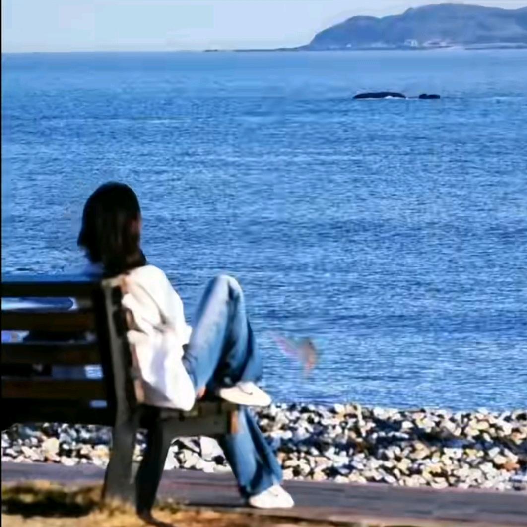 小黄鸭变小黄鹅