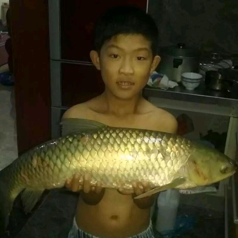 小鱼大叔精品渔具