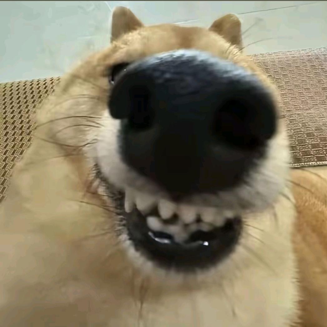 嘻嘻，你过来